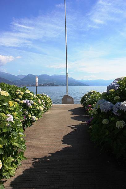 istock Summer Stresa at Lake Maggiore with colorful hydrangeas blossoms, Italy 512354848
