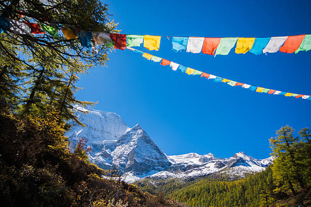 montañas con nieve y un bosque de pinos - tibetan buddhism wind tibet horizontal fotografías e imágenes de stock