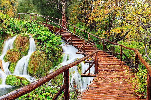 istock Wood path in the Plitvice national park in autumn 512356858