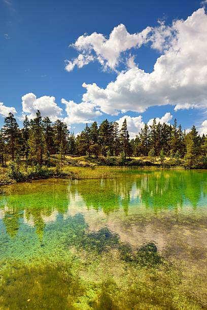 istock Beautiful landscape of Norway, Scandinavia 512358931