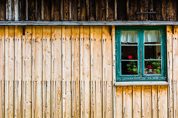 istock Green window with red flowers 512359259