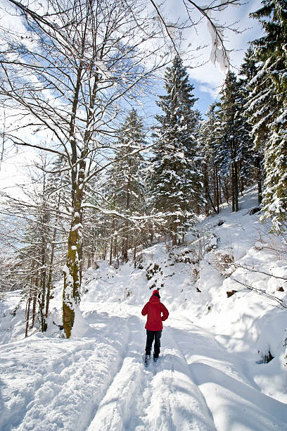 istock woman hiking in winter 512360705