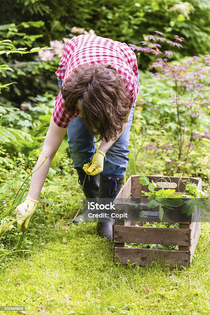 Gardening woman at gardening Bending Over Stock Photo