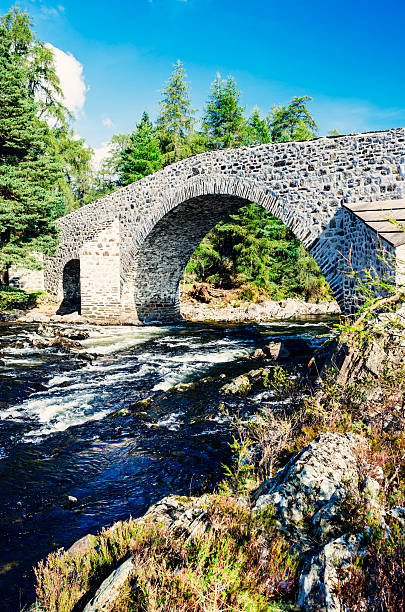 늙음 브리지 오브 디 니어 브래머, 오요 - dee river scotland valley bridge 뉴스 사진 이미지