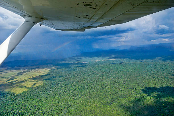 istock View at jungle near Canaima National Park, Venezuela 512385795