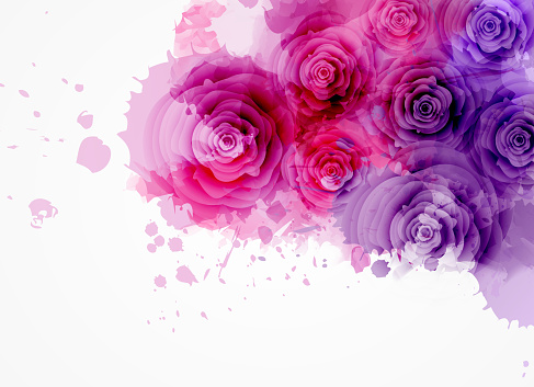 Abstract watercolor background in purple and pink colors with roses. eps10 - contains transparencies