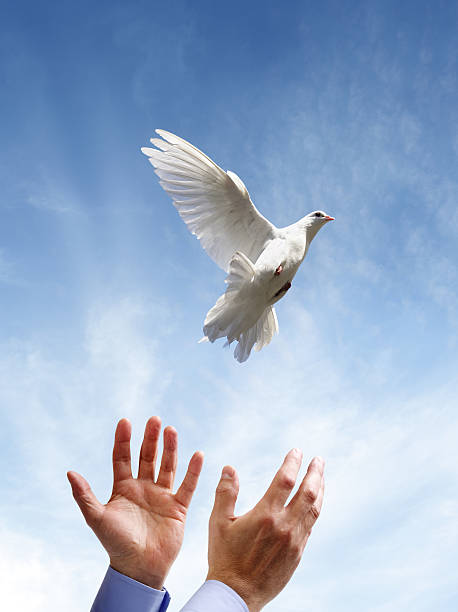 istock Freedom, peace and spirituality 512390245