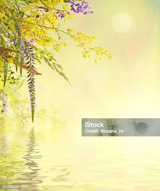 Holiday Background Stock Photo - Download Image Now - Backgrounds, Beauty In Nature, Blossom