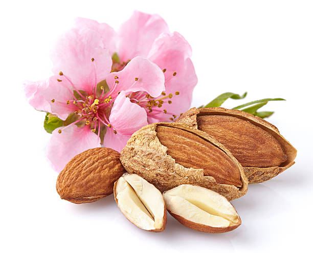 Almonds with pink flowers stock photo