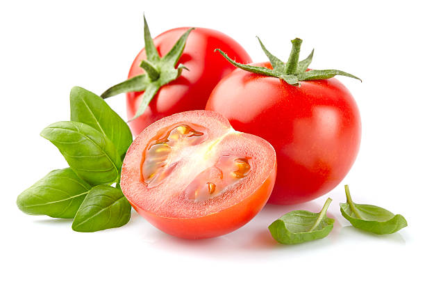 Tomato with basil stock photo