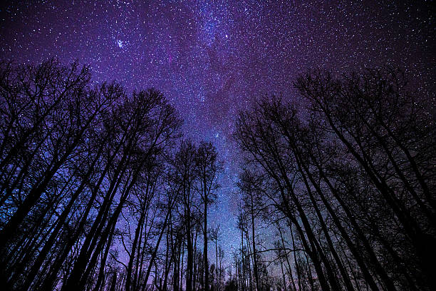 Aspens and Milky Way Night Landscape Aspens and Milky Way Night Landscape - Scenic view in low light pollution area with intense stars and Milky Way galaxy.  Western Colorado, USA. astrophotography stock pictures, royalty-free photos & images