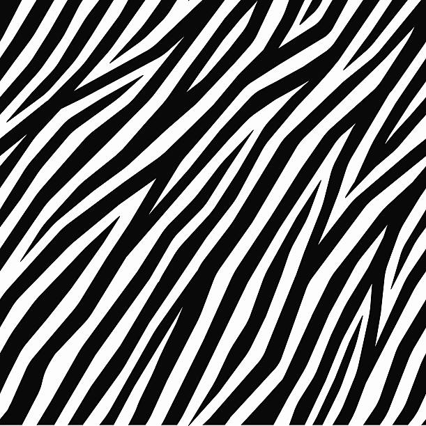 Smooth Zebra Print Zebra Pattern, black and white graphic background. Vector zebra print for textile, furniture fabric, fashion or interior design. African style. Vector zebra stripes background. Diagonal zebra skin. zebra print stock illustrations