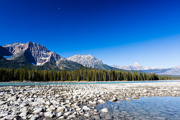 istock Athabasca River, Icefield Parkway, Jasper National Park 512403950