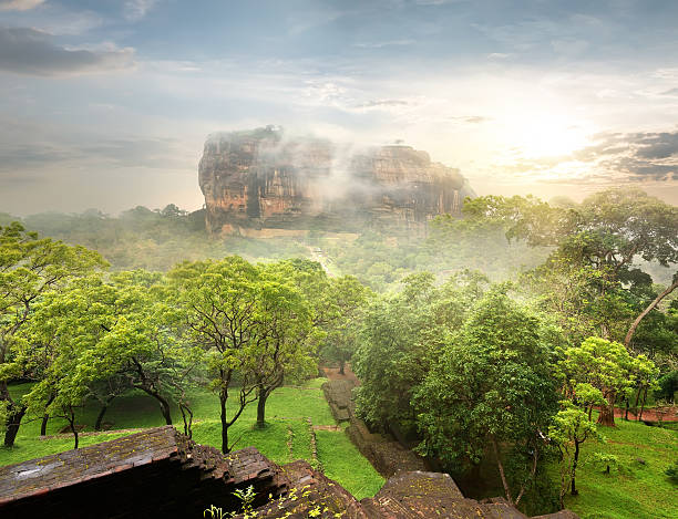 istock Garden near Sigiriya 512403998