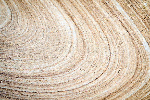 istock Watercolor painting wood slice defocused background 512406014