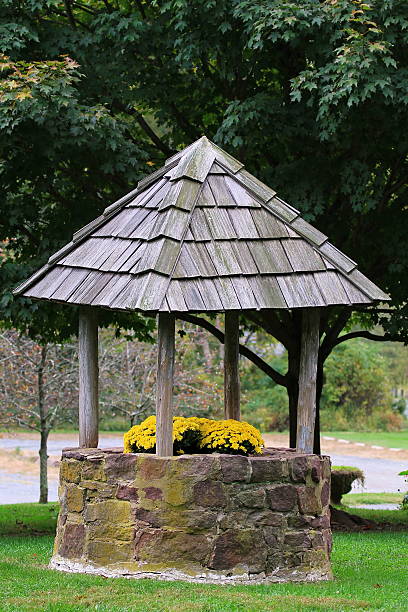 istock Flowers in the Wishing Well 512406652