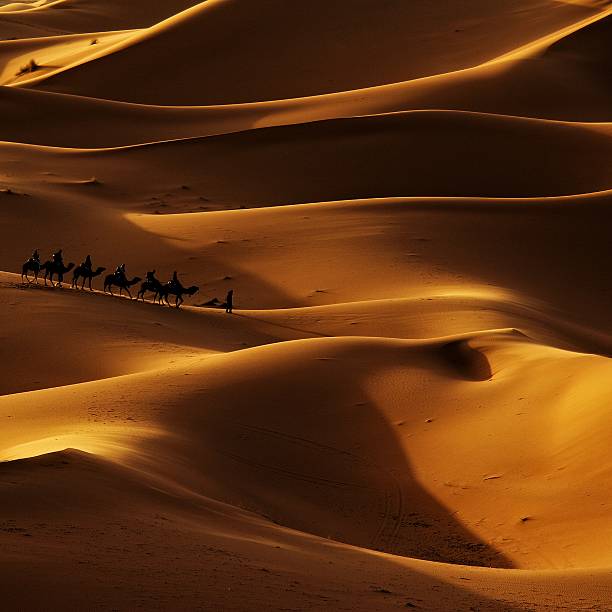 istock Caravan in the desert, Merzouga, Morocco 512407656