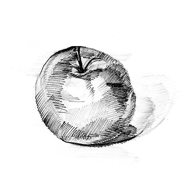 pencil-line-drawing-apple.jpg?