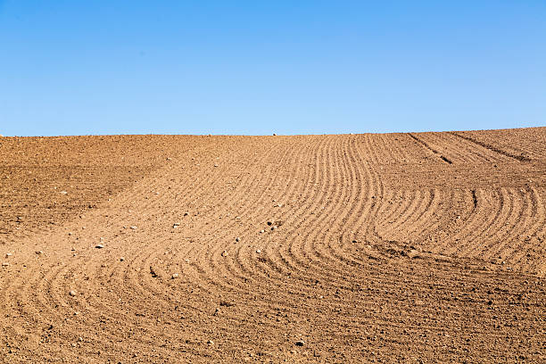 istock landscape with plowed field and blue sky 512409050