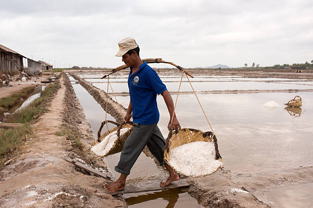 Worker in Kampot (Cambodia) salt fields Kampot, Cambodia -- February 16, 2016: Worker in Kampot salt fields kampot stock pictures, royalty-free photos & images