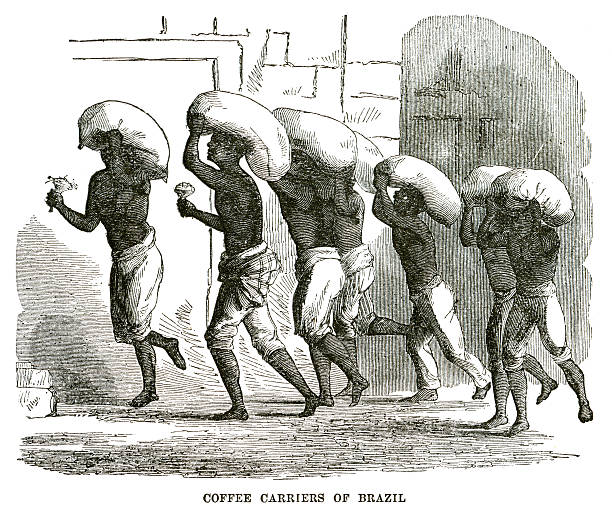 Coffee carriers of Brazil engraving