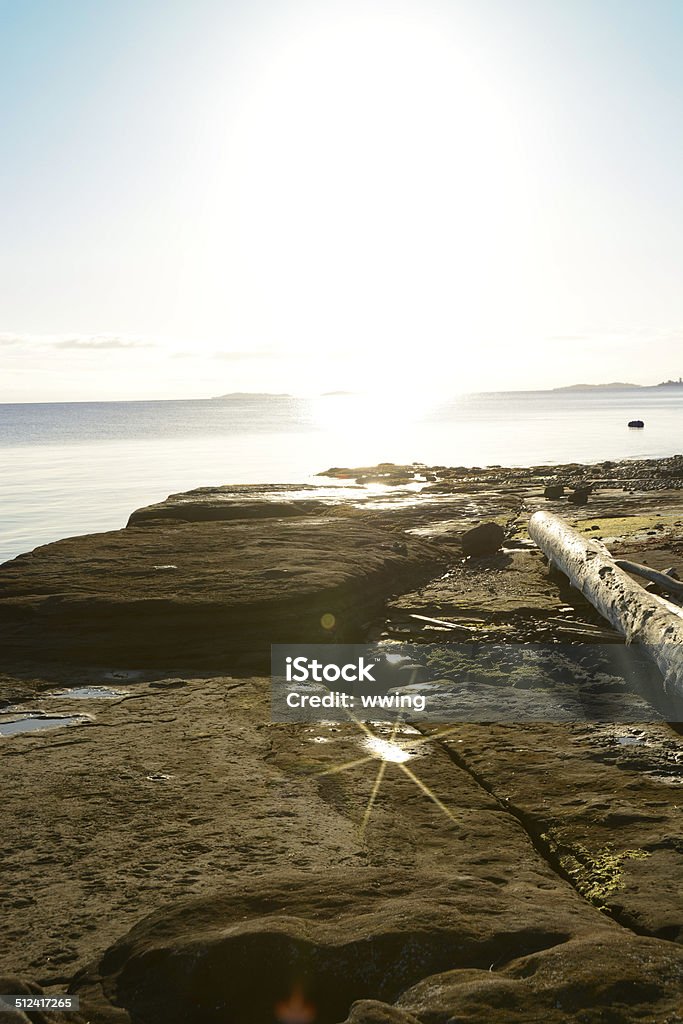 Early Morning Sunrise Along the Salish Sea at Sunrise. Beach Stock Photo