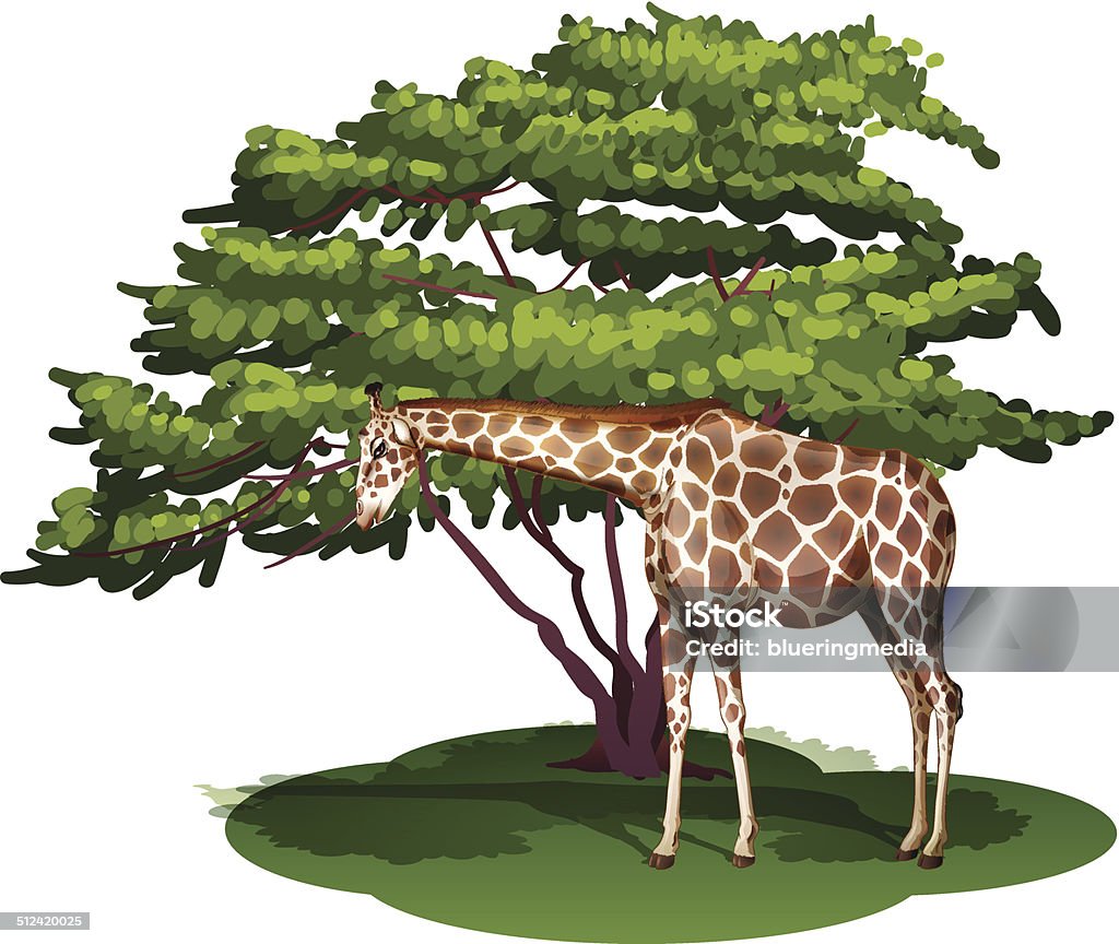 Giraffe under the tree Illustration of a giraffe under the tree on a white background Animal stock vector