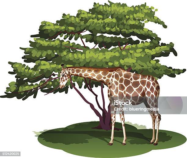 Giraffe Under The Tree Stock Illustration - Download Image Now - Animal, Animal Markings, Artiodactyla