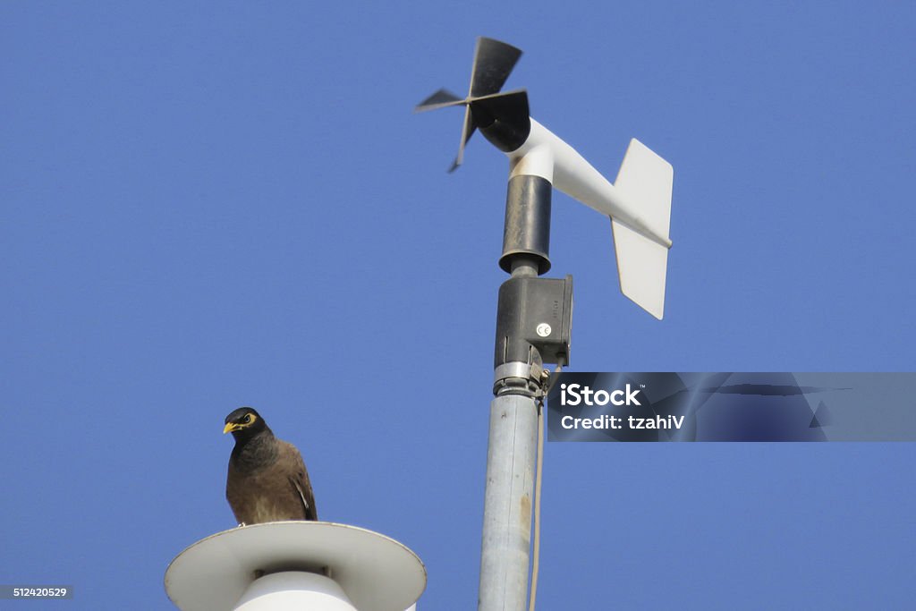 Weather Station Weather Station and a Free bird Anemometer Stock Photo