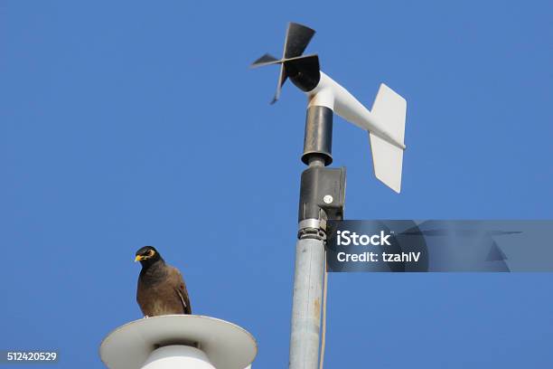 Weather Station Stock Photo - Download Image Now - Anemometer, Animal Antenna, Antenna - Aerial
