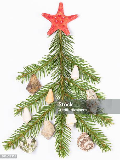 Decorated With Shells Stock Photo - Download Image Now - Above, Animal Shell, Branch - Plant Part