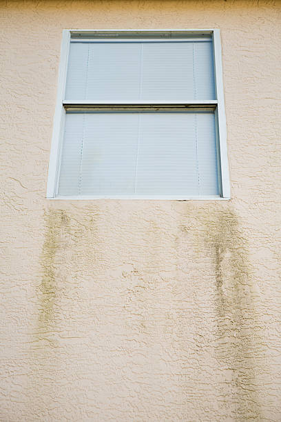 istock Exterior of Florida Home that Needs to be Power Washed 512422833