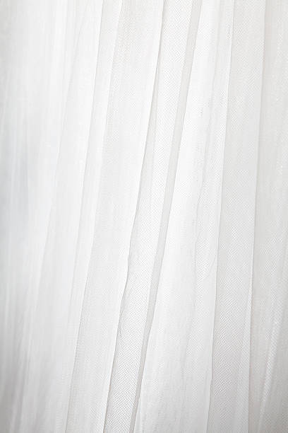 Morning lights with lace curtain