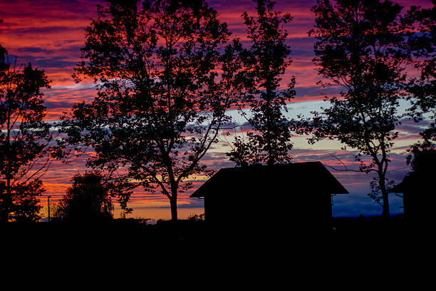 Beautiful Purple Sunset over the house and trees silhouette