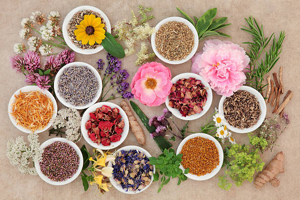 istock Healing Flowers and Herbs 512435414