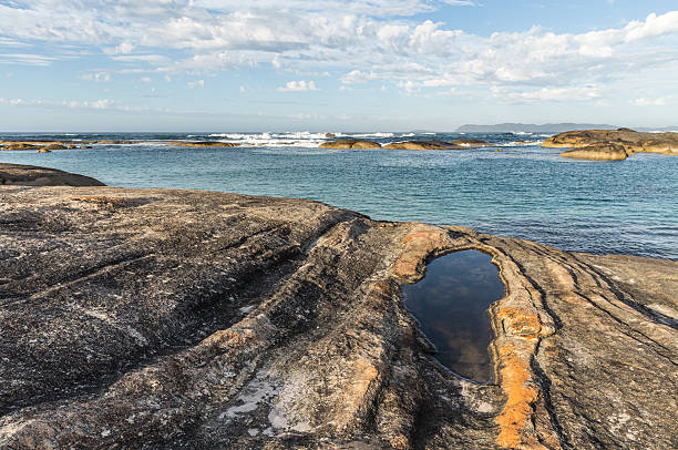 rock formation à verts piscine et plage williams baie - australian culture sea coastline rock formation photos et images de collection