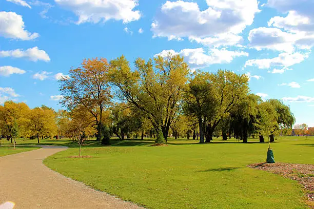 Photo of Trees