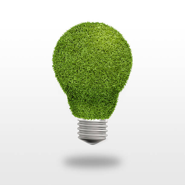 istock Light bulb with grass instead of glass on a white 512440996