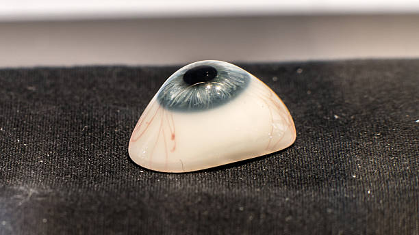 occhio di vetro protesi (ocular protesi) - occhio di vetro foto e immagini stock