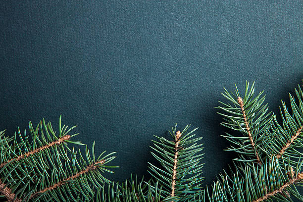 istock Christmas tree branch on black table or board for background. 512452328