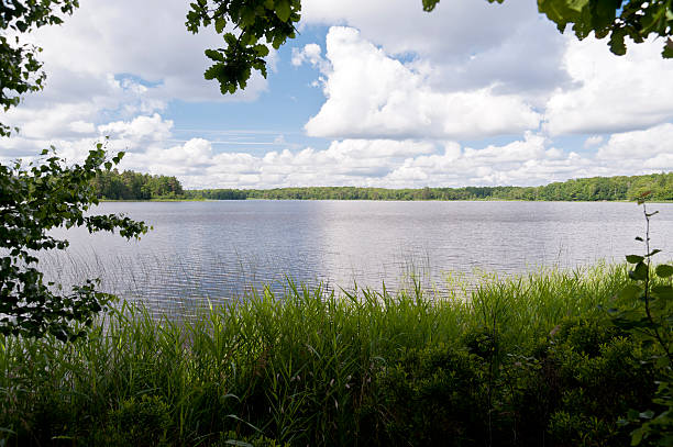 istock Lake Asnen in Sweden 512453132