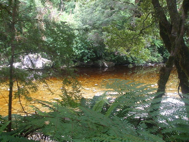 istock Karamea, New Zealand 512454374