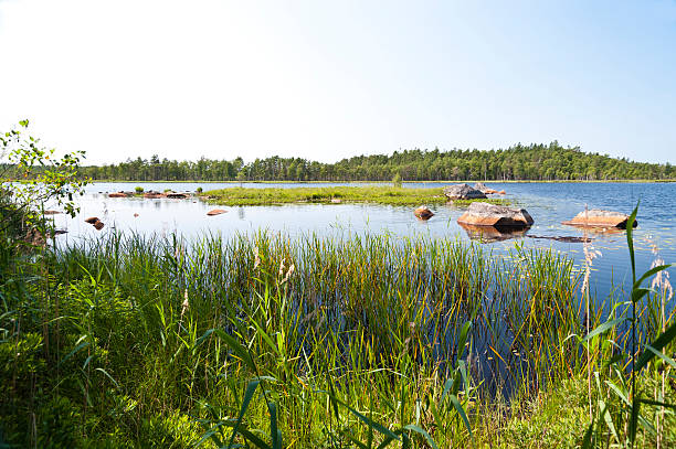 istock Lake Asnen in Sweden 512454392