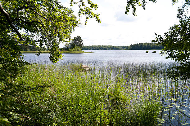 istock Lake Asnen in Sweden 512454706