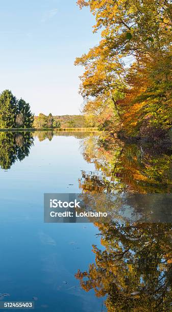Herbst See Reflektionen Stockfoto und mehr Bilder von Ahorn - Ahorn, Baum, Blatt - Pflanzenbestandteile