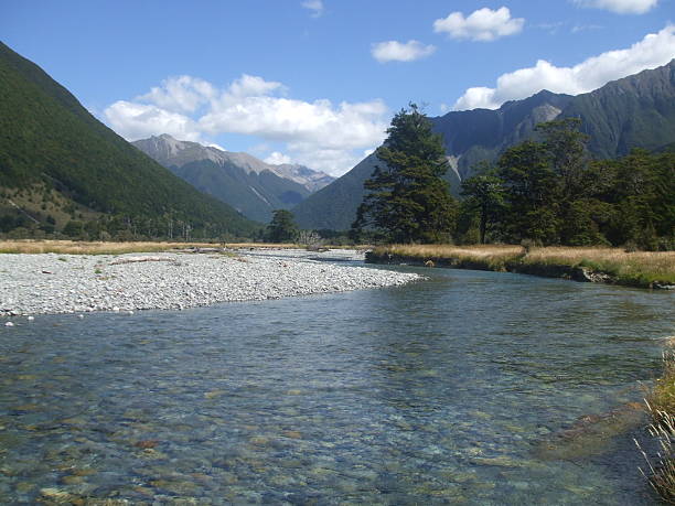 istock Nelson Lakes, New Zealand 512458136