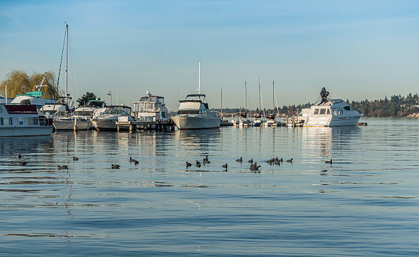 istock Boats On Lake Washingon 512473578