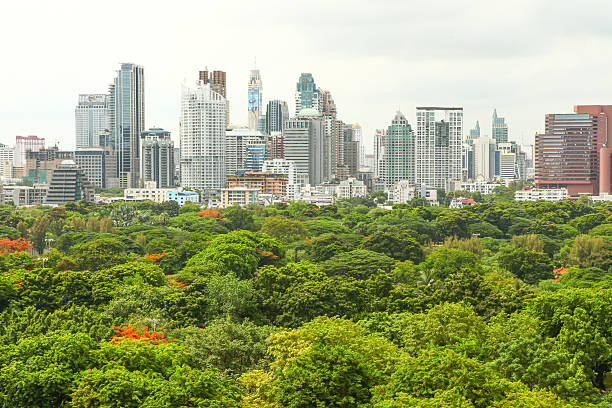 istock Bangkok skyline over Lumpini park 512474007