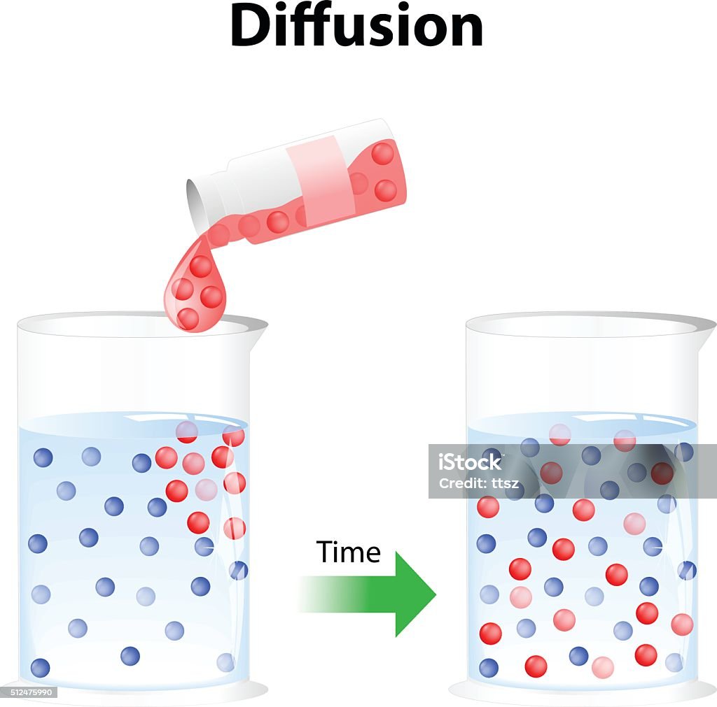 Simple Diffusion Digram Diffusion Diagram