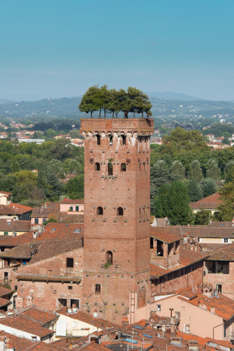 Guinigi Tower in Lucca.